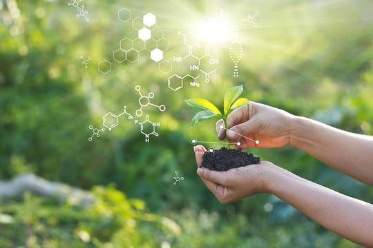Sustainability Card Image